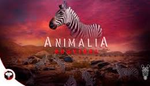 animalia clickable image